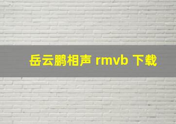 岳云鹏相声 rmvb 下载